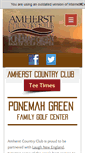 Mobile Screenshot of playamherst.com